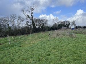 Photo 8- click for photo gallery